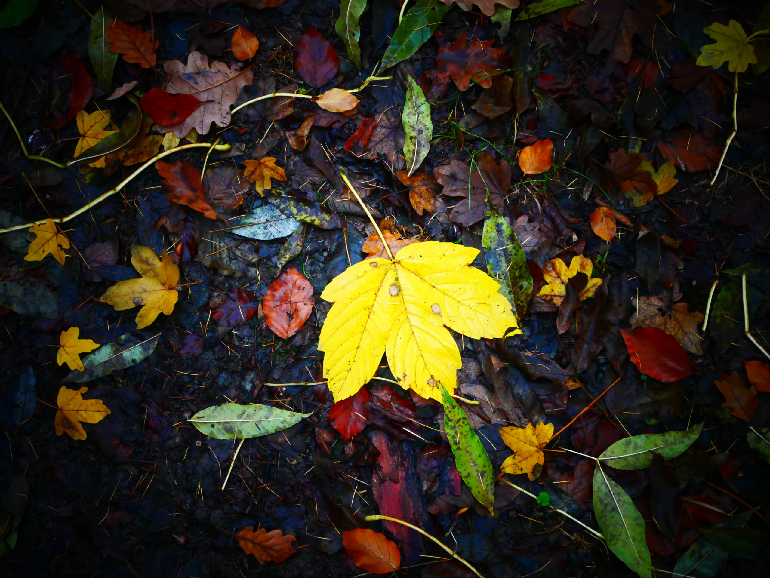 Herbstzeit